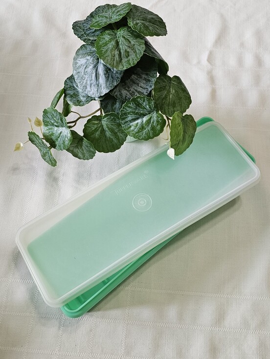 Other - Vintage Tupperware Celery/Vegetable Crisper